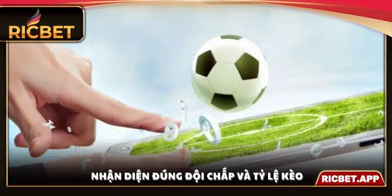 Cách xác định đội cửa trên, cửa dưới và mức chấp