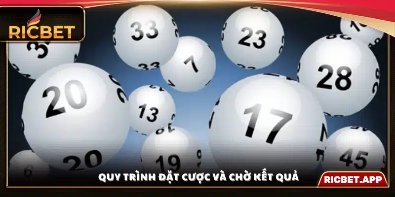 Chi tiết cách đặt cược và theo dõi kết quả